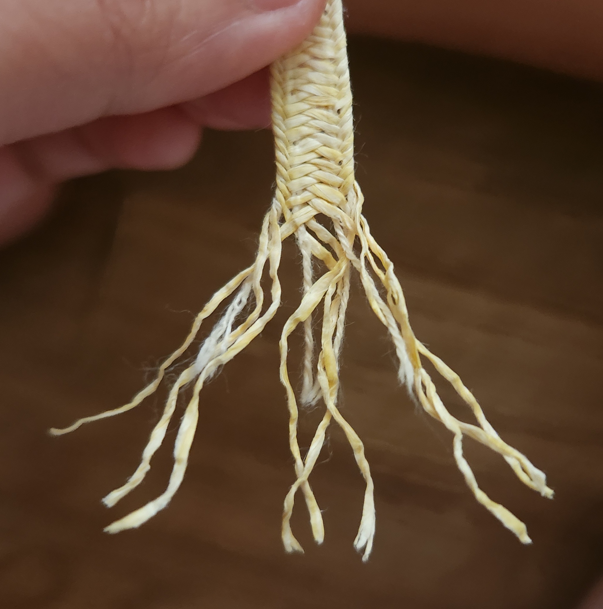 A close-up shot of someone’s hand holding a braided straw ribbon.